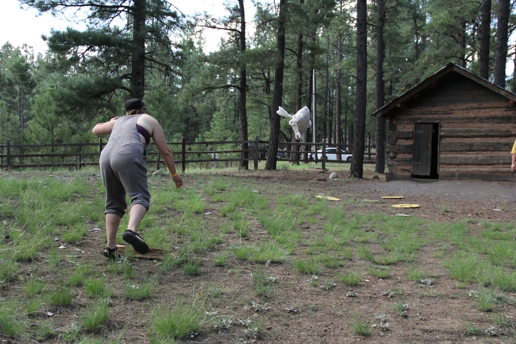 Sheep toss